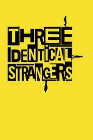Three Identical Strangers | แฝดสาม และความมหัศจรรย์ (โคตร) ดำมืด
